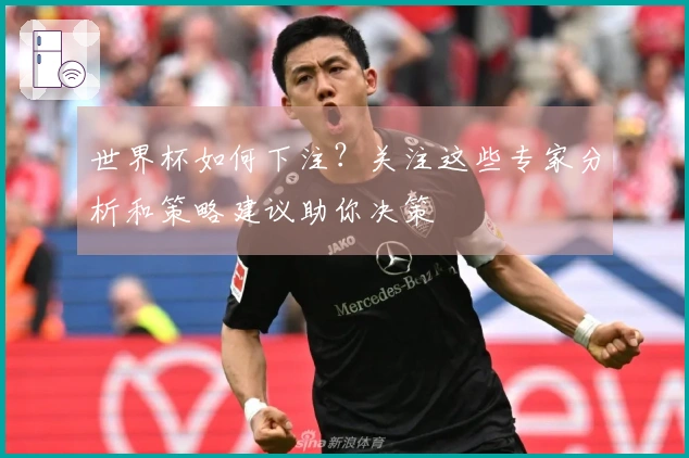 世界杯如何下注？关注这些专家分析和策略建议助你决策