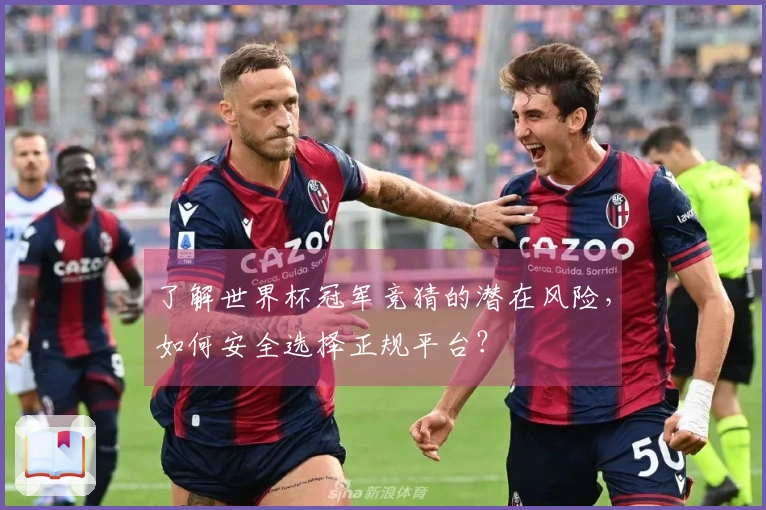 了解世界杯冠军竞猜的潜在风险,如何安全选择正规平台?