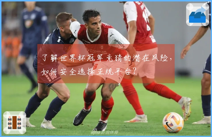 了解世界杯冠军竞猜的潜在风险，如何安全选择正规平台？