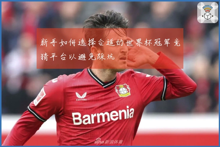 新手如何选择合适的世界杯冠军竞猜平台以避免踩坑