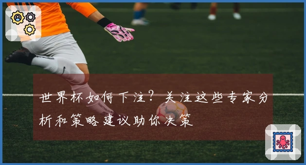 世界杯如何下注？关注这些专家分析和策略建议助你决策