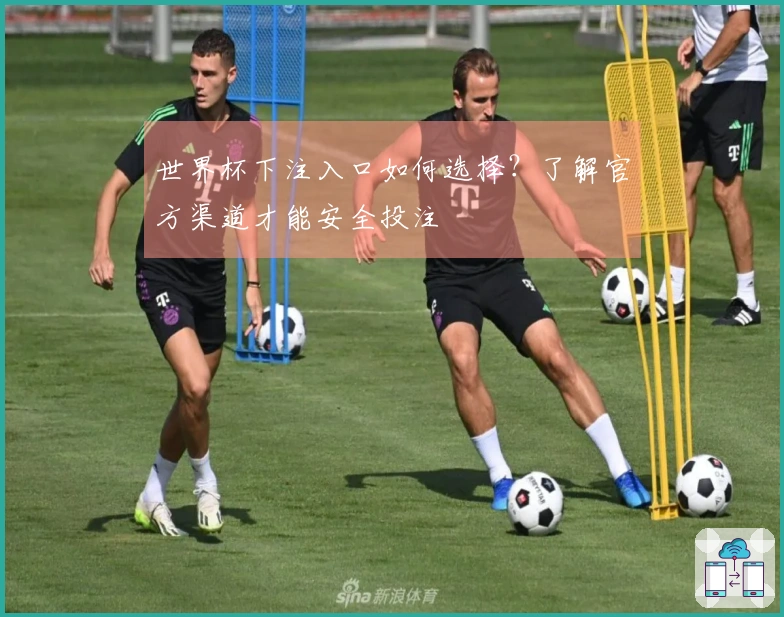 世界杯下注入口如何选择？了解官方渠道才能安全投注