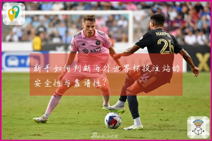 新手如何判断海外世界杯投注站的安全性与靠谱性？