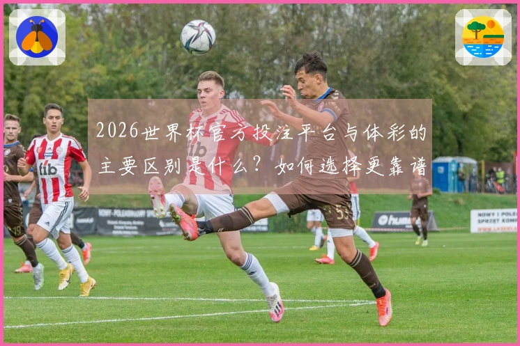 2026世界杯官方投注平台与体彩的主要区别是什么？如何选择更靠谱的竞猜方式？