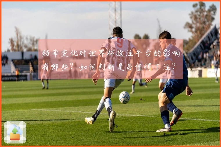 赔率变化对世界杯投注平台的影响有哪些？如何判断是否值得下注？