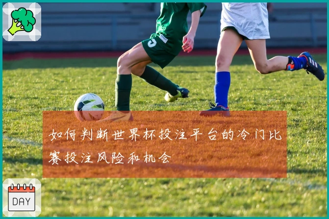 如何判断世界杯投注平台的冷门比赛投注风险和机会