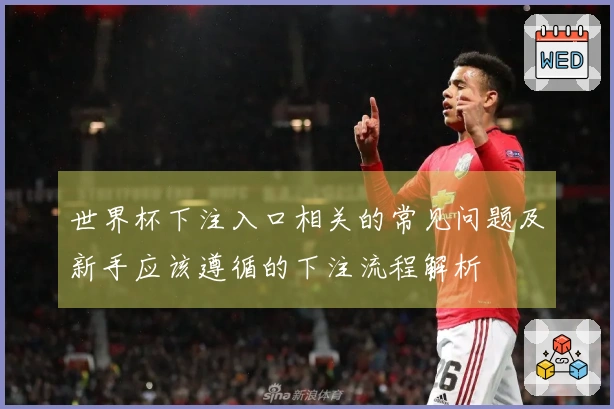 世界杯下注入口相关的常见问题及新手应该遵循的下注流程解析