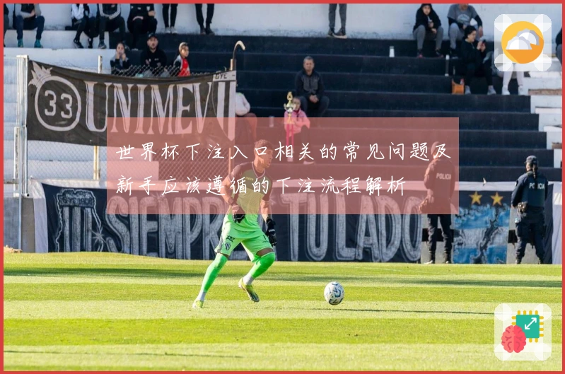 世界杯下注入口相关的常见问题及新手应该遵循的下注流程解析