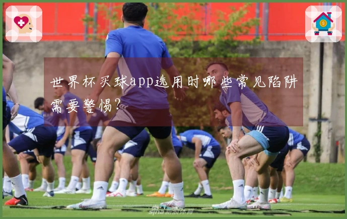 世界杯买球app选用时哪些常见陷阱需要警惕？