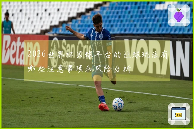 2026世界杯买球平台的让球玩法有哪些注意事项和风险分析