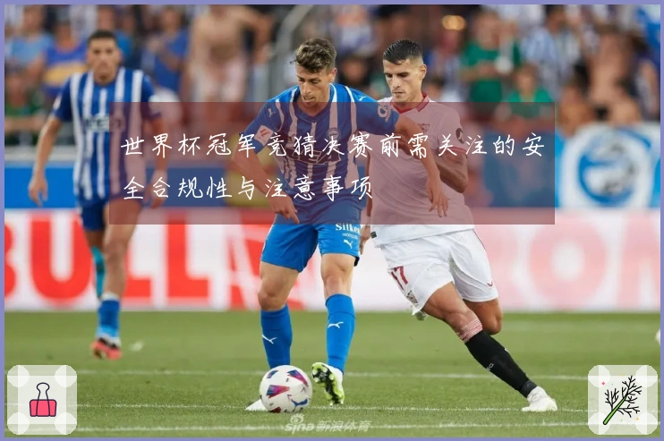世界杯冠军竞猜决赛前需关注的安全合规性与注意事项