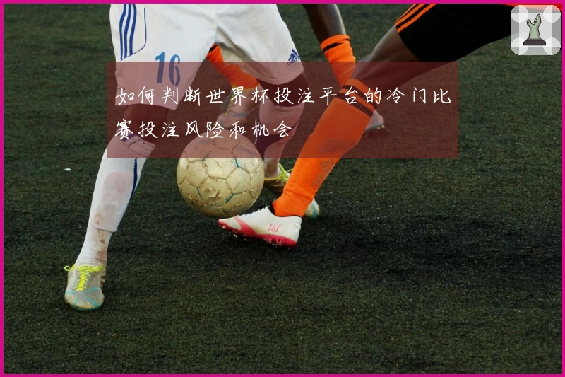 如何判断世界杯投注平台的冷门比赛投注风险和机会