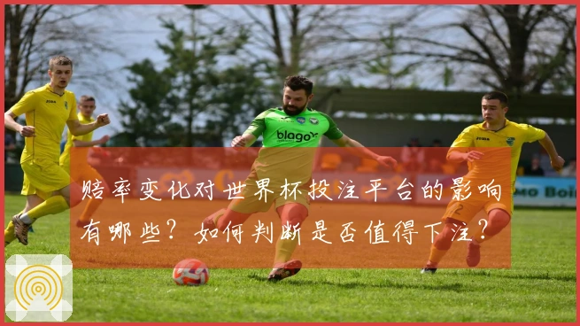 赔率变化对世界杯投注平台的影响有哪些？如何判断是否值得下注？