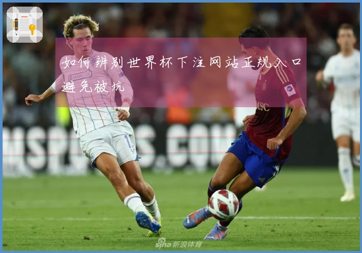 如何辨别世界杯下注网站正规入口避免被坑
